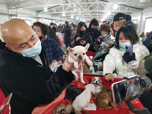 鞍山宠物：“铲屎官”经济瞄准百亿级市场